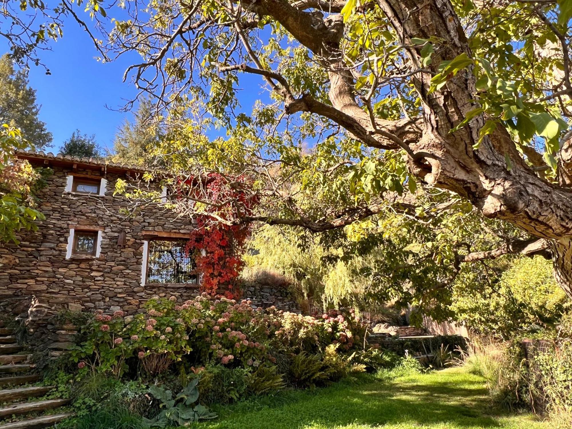 La Casa Del Nogal Villa Guejar Sierra Luaran gambar